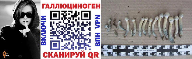 Псилоцибиновые грибы GOLDEN TEACHER  купить закладку  Данков 